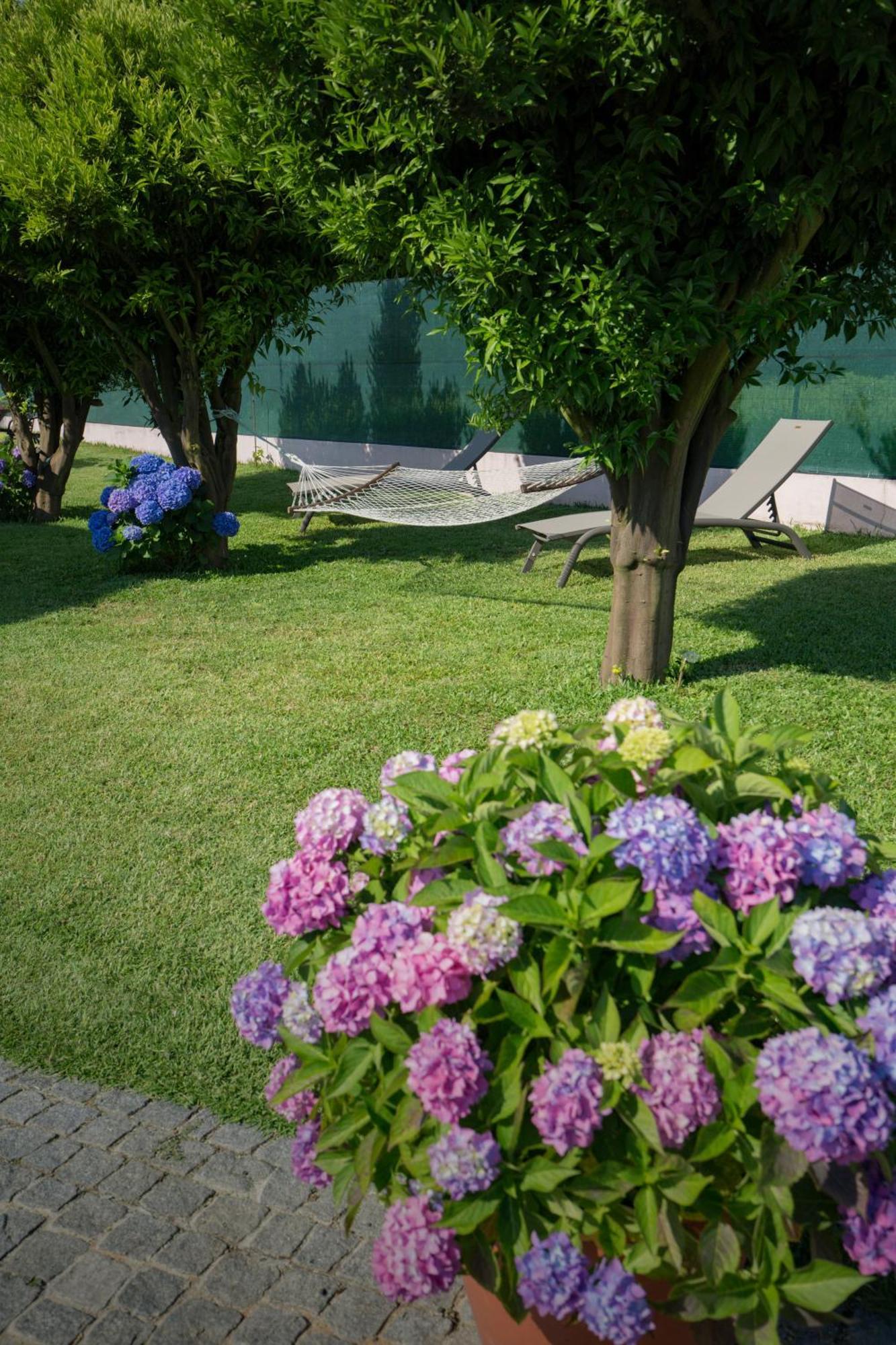 Suite Em Viana Do Castelo Eksteriør bilde