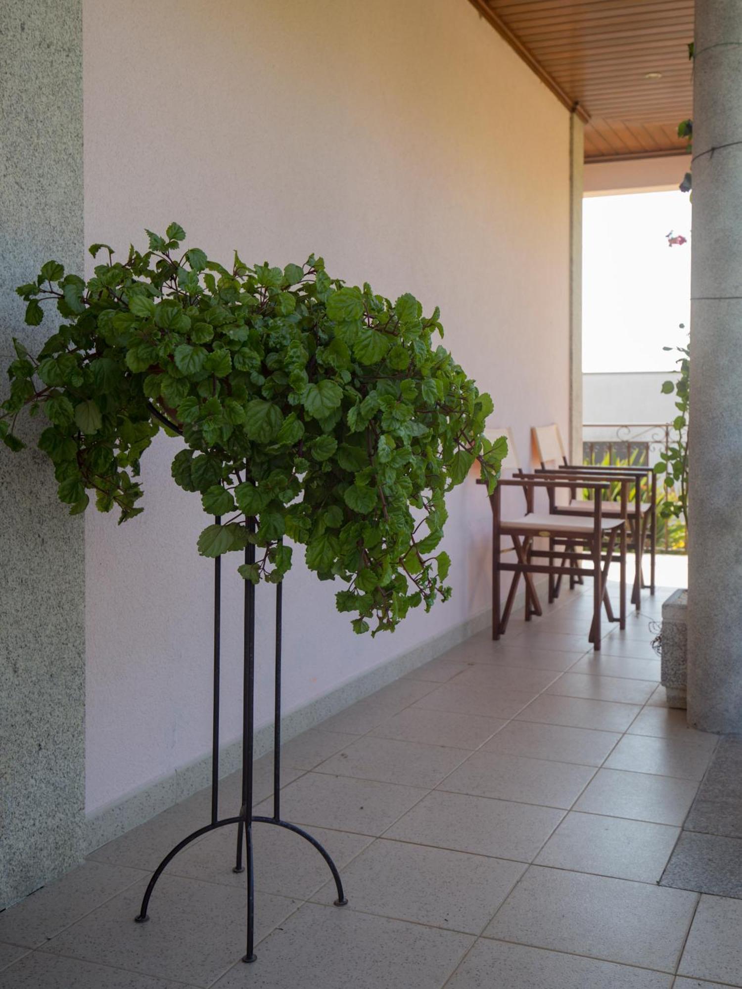 Suite Em Viana Do Castelo Eksteriør bilde